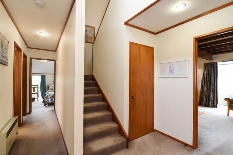 Photo of property in 207 Larnach Road, Waverley, Dunedin, 9013