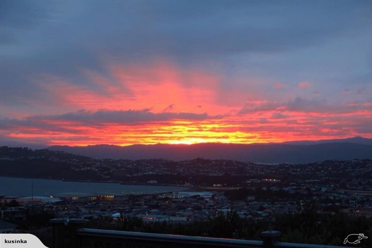 Photo of property in 17 Hornsey Road, Melrose, Wellington, 6023