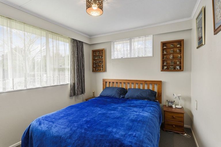 Photo of property in 17 Strathmore Avenue, Levin, 5510