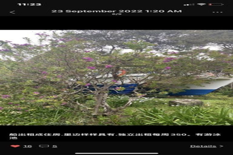 Photo of property in 341 Upper Harbour Drive, Greenhithe, Auckland, 0632