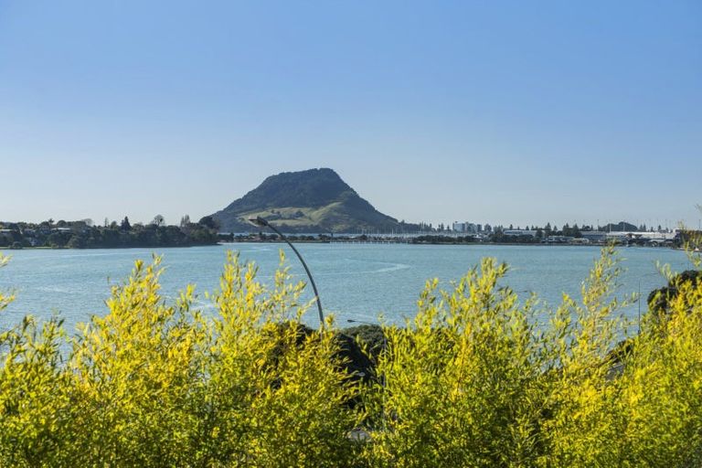 Photo of property in 113 Twelfth Avenue, Tauranga South, Tauranga, 3112