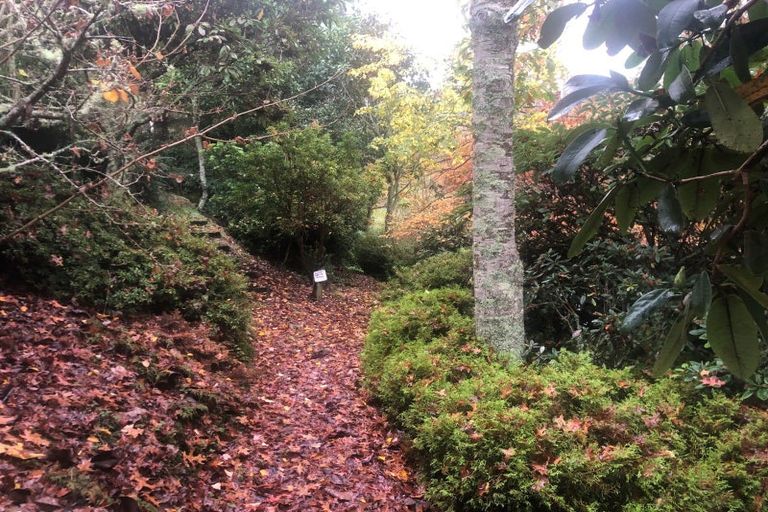 Photo of property in 22 Phillips Road, Motu, Te Karaka, 4092