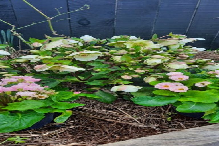 Photo of property in 31c Iwa Street, Mapua, 7005