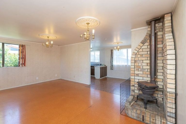 Photo of property in 45 Alison Street, Hamilton Lake, Hamilton, 3204