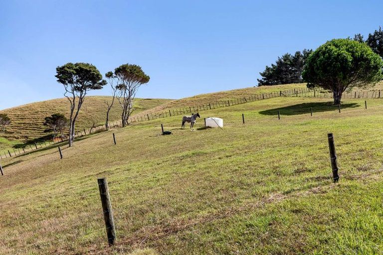 Photo of property in 330 Hihi Road, Hihi, Mangonui, 0494