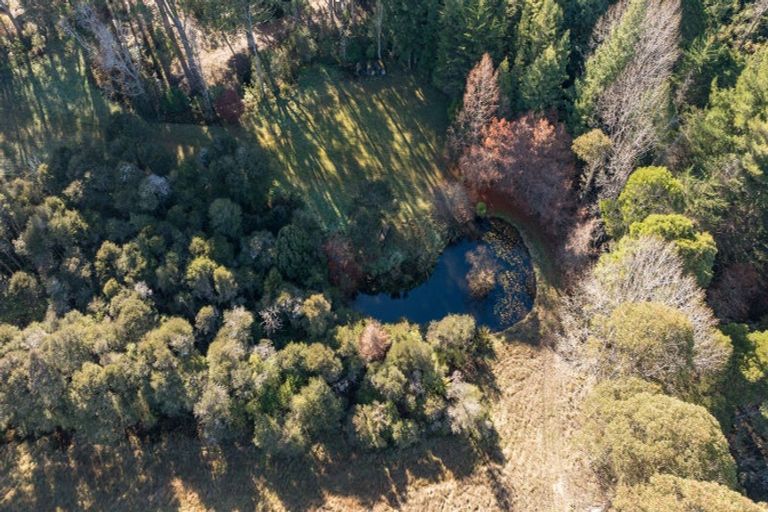 Photo of property in 168 Graham Valley Road, Motueka Valley, Motueka, 7196