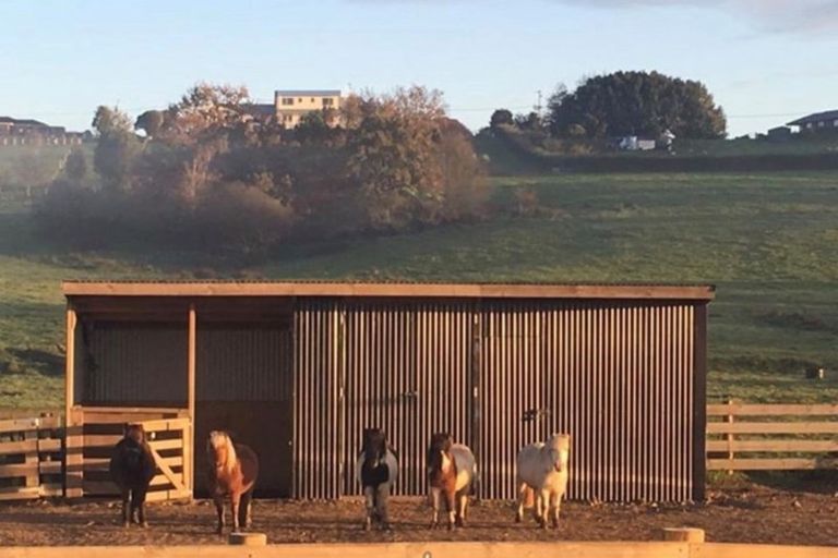 Photo of property in 115a Travers Road, Te Kauwhata, 3782