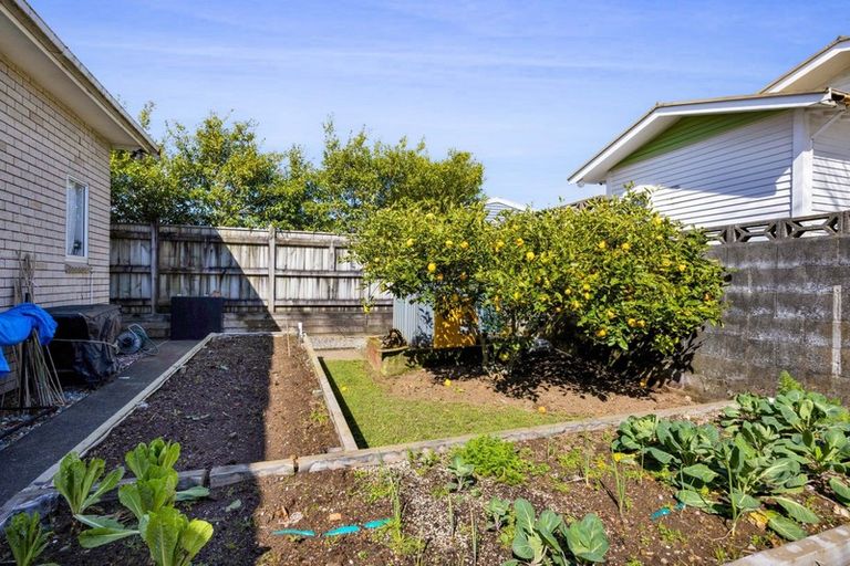 Photo of property in 33 Seyton Street, Stratford, 4332