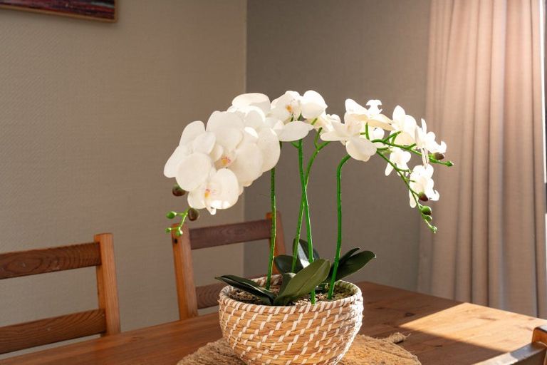 Photo of property in 1 Atwood Grove, Churton Park, Wellington, 6037