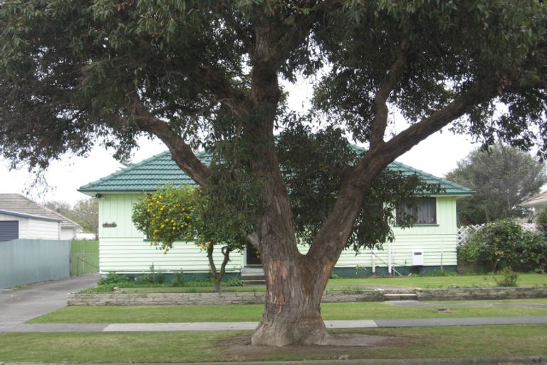 Photo of property in 46 Williams Street, Marewa, Napier, 4110