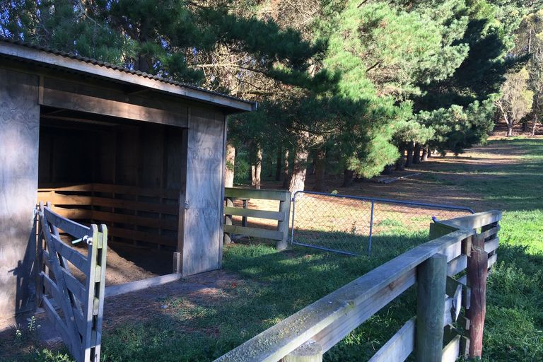 Photo of property in 1331 Waianakarua Road, Kakanui, Oamaru, 9495