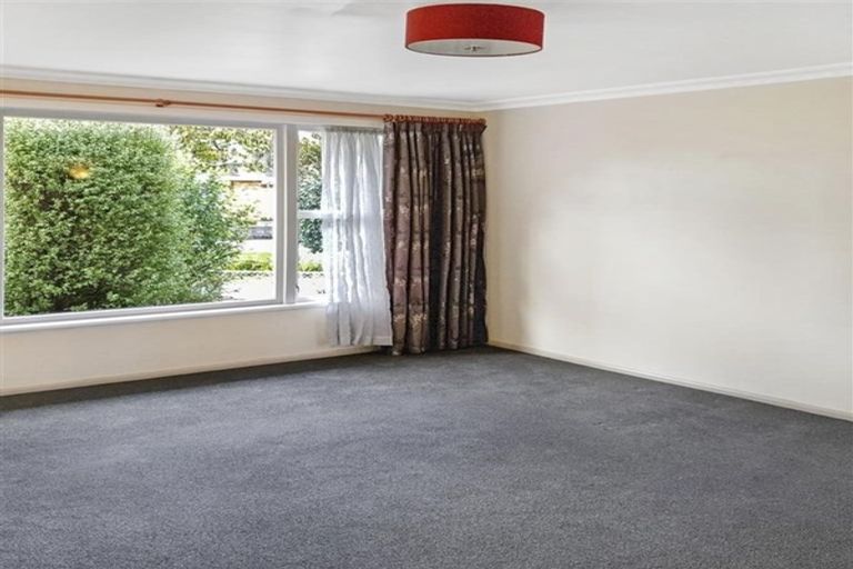 Photo of property in 8 Christie Street, Forest Lake, Hamilton, 3200