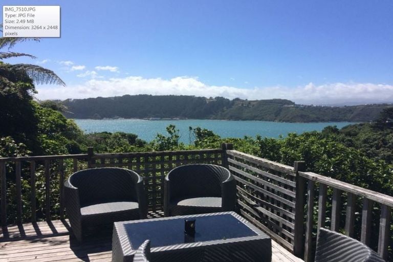 Photo of property in 115a Grafton Road, Roseneath, Wellington, 6011