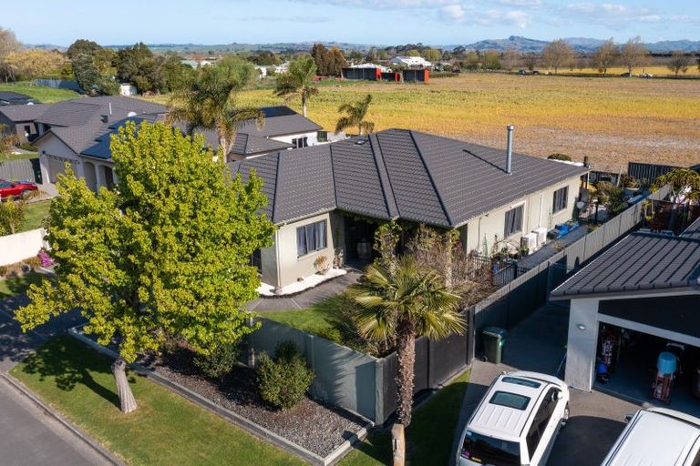 Photo of property in Heynes Place, 24 Heynes Place, Clive, 4102