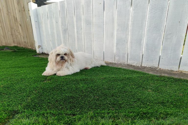 Photo of property in 4 Turkington Street, Tawa, Wellington, 5028