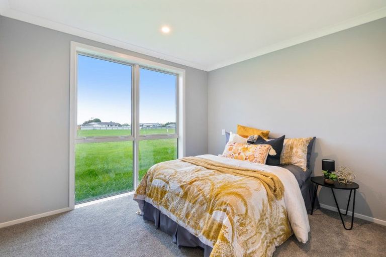 Photo of property in 22 Thorn Street, Levin, 5510