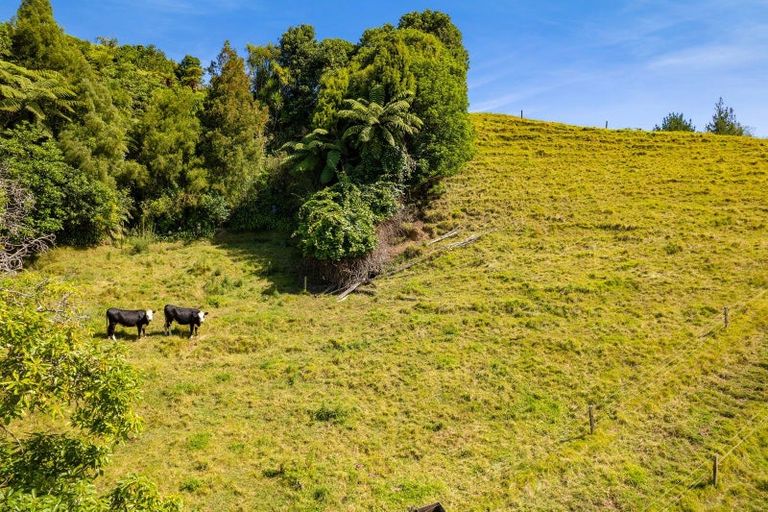 Photo of property in 29 Whakapaki Street, Urenui, 4375