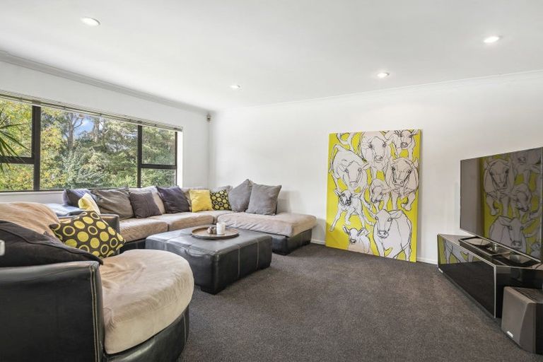 Photo of property in 17 Mceldownie Road, Ramarama, Drury, 2579