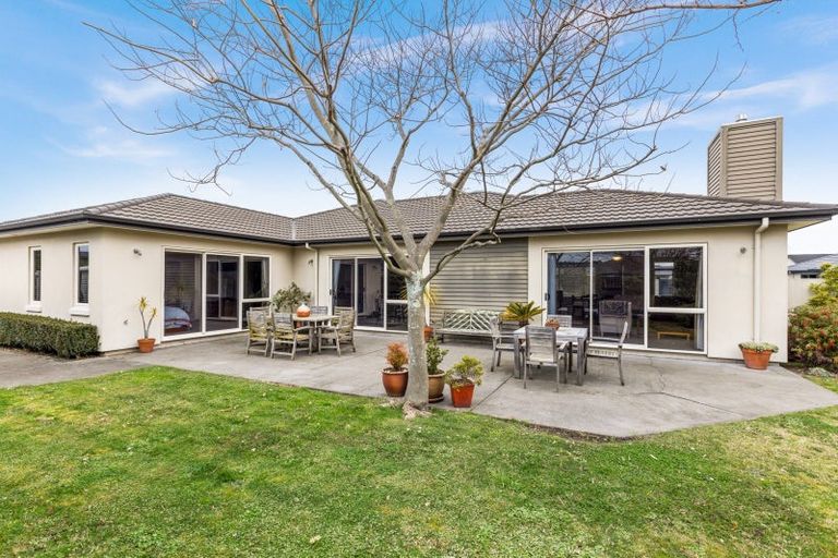 Photo of property in 24 Merlot Drive, Greenmeadows, Napier, 4112