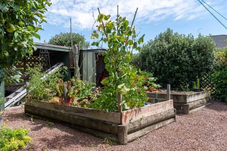 Photo of property in 74 Titoki Street, Lansdowne, Masterton, 5810