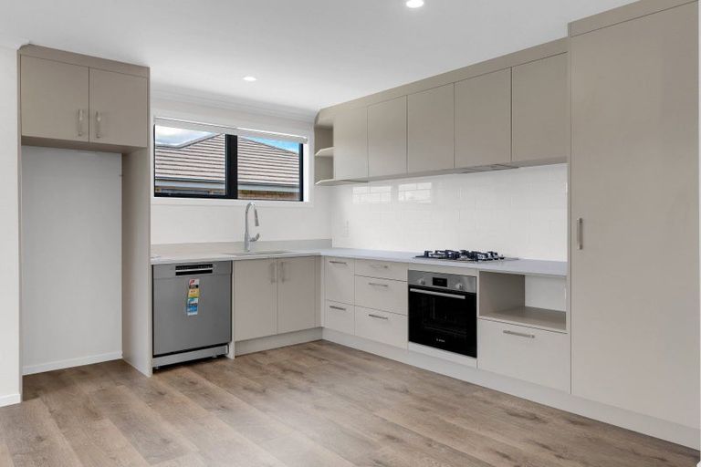 Photo of property in 42 Ladeira Place, Fitzroy, Hamilton, 3206