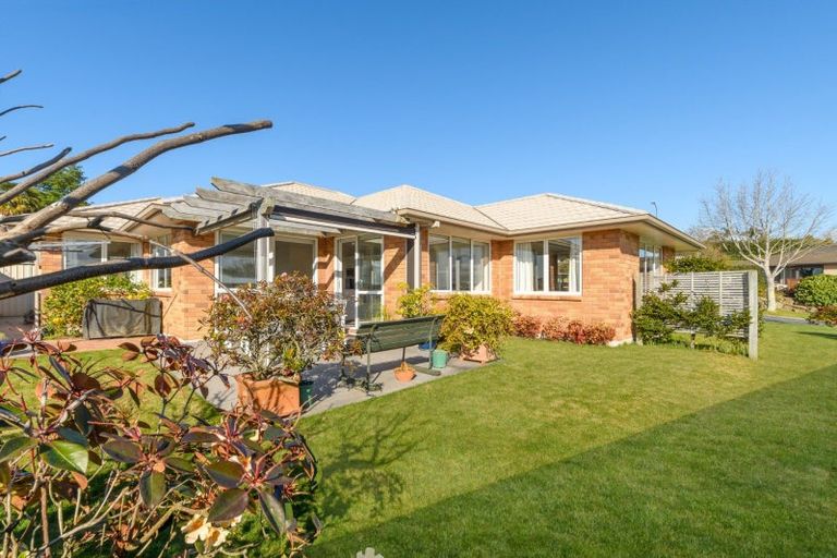Photo of property in 124 Rowesdale Drive, Ohauiti, Tauranga, 3112