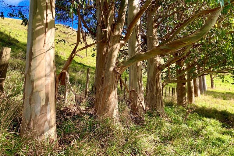 Photo of property in 343 Takapu Road, Takapu Valley, Wellington, 5028