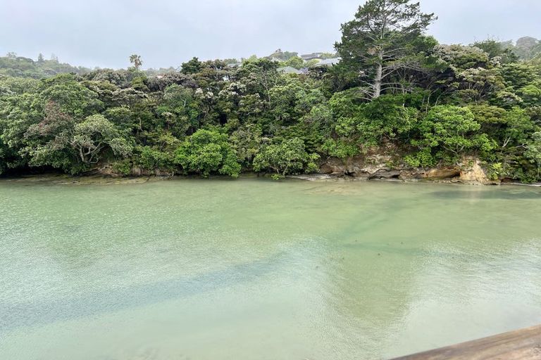 Photo of property in 109 Island Bay Road, Beach Haven, Auckland, 0626