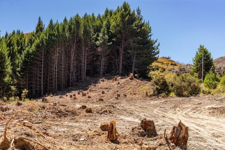 Photo of property in 105 Alpine Retreat Road, Ben Lomond, Queenstown, 9371