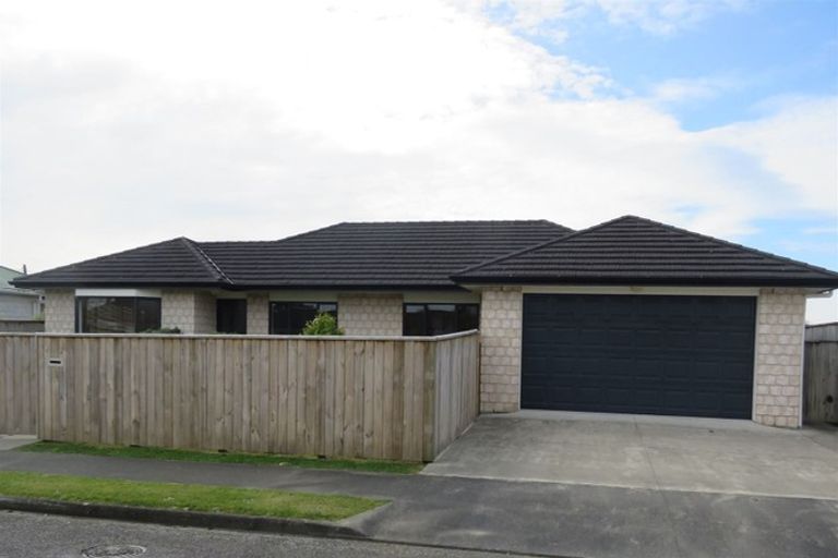 Photo of property in 1 Martin Harvey Street, Levin, 5510