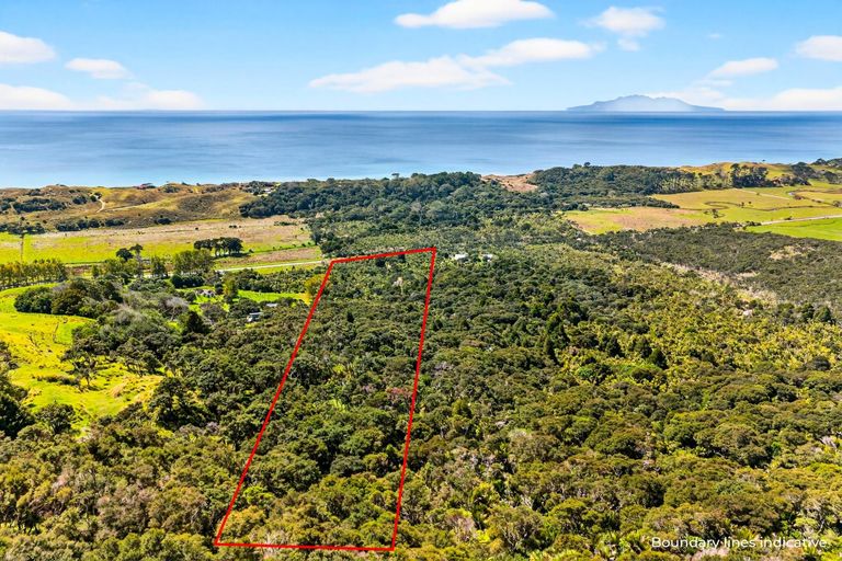 Photo of property in 495 Rahuikiri Road, Tomarata, Wellsford, 0972