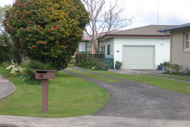 Photo of property in 18 Vine Avenue, Maungatapu, Tauranga, 3112