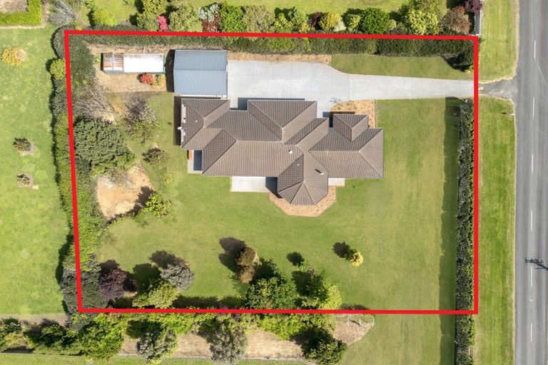 Photo of property in 407 Youngson Road, Whakamarama, Tauranga, 3179