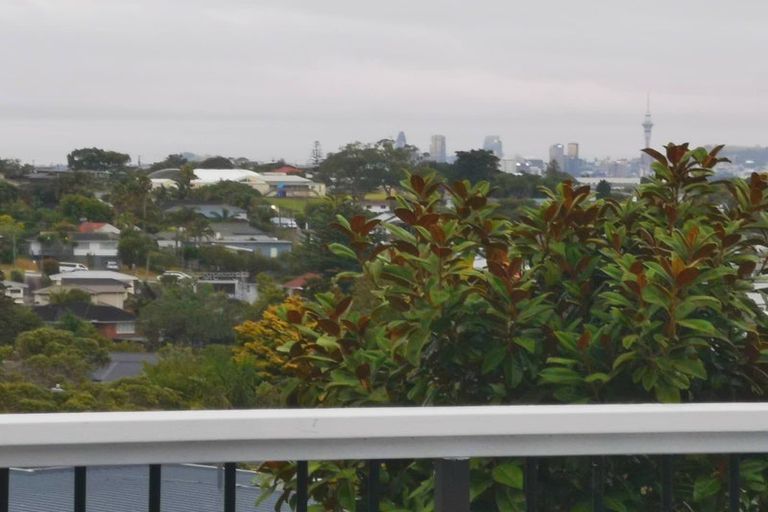 Photo of property in 52 Grenada Avenue, Forrest Hill, Auckland, 0620