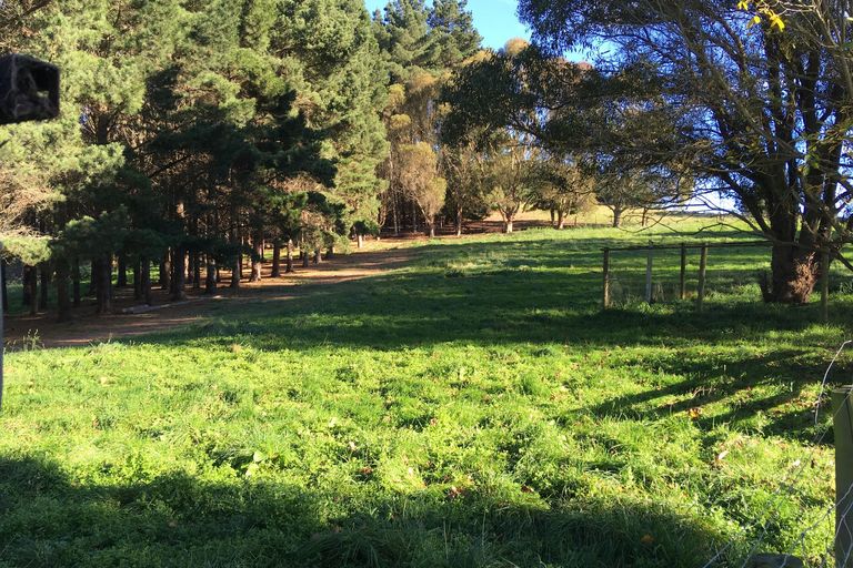 Photo of property in 1331 Waianakarua Road, Kakanui, Oamaru, 9495