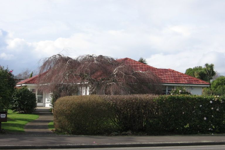 Photo of property in 229 Victoria Avenue, Hokowhitu, Palmerston North, 4410