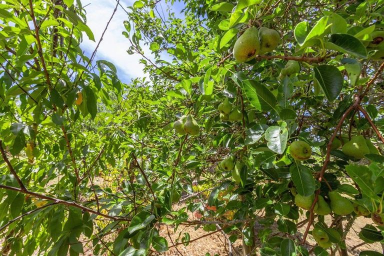 Photo of property in 185 Rahuikiri Road, Tomarata, Wellsford, 0972