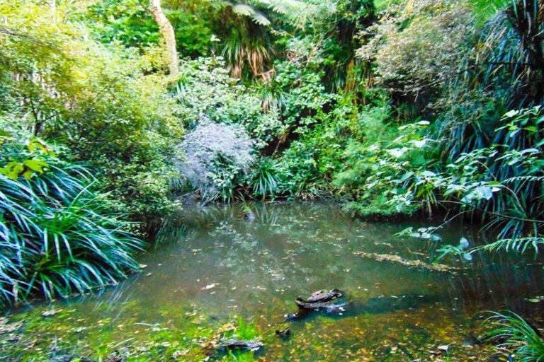 Photo of property in 118 Opanuku Road, Henderson Valley, Auckland, 0612