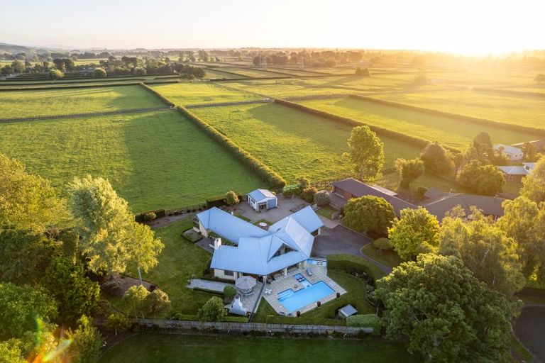 Photo of property in 5 Curnow Place, Leamington, Cambridge, 3432