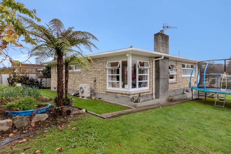 Photo of property in 17 Glen Street, Levin, 5510