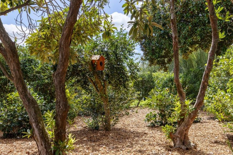 Photo of property in 308b Hautapu Road, Tamahere, Cambridge, 3493