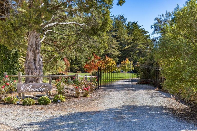 Photo of property in 834 Avondale Road, Waihopai Valley, Blenheim, 7276