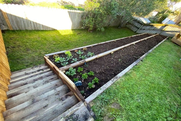 Photo of property in 3 Jomard Terrace, Northcross, Auckland, 0632