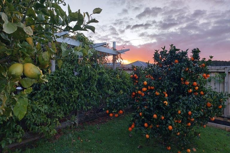 Photo of property in 82 Corks Road, Tikipunga, Whangarei, 0112