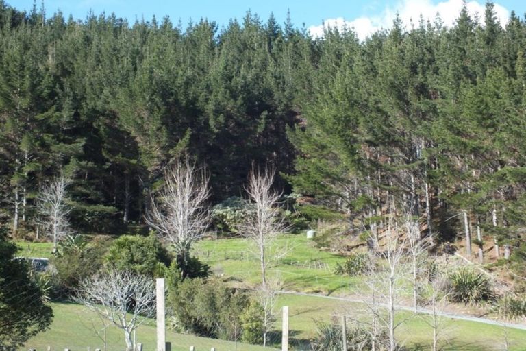 Photo of property in 69d George Street, Hikurangi, 0114