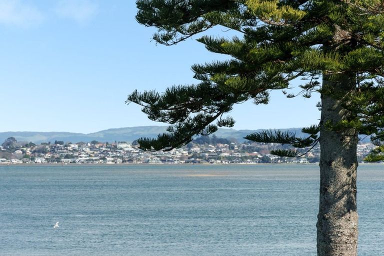 Photo of property in 4 Prince Avenue, Mount Maunganui, 3116