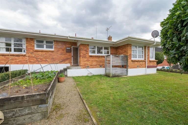 Photo of property in 54 Carlyle Avenue, Chartwell, Hamilton, 3210