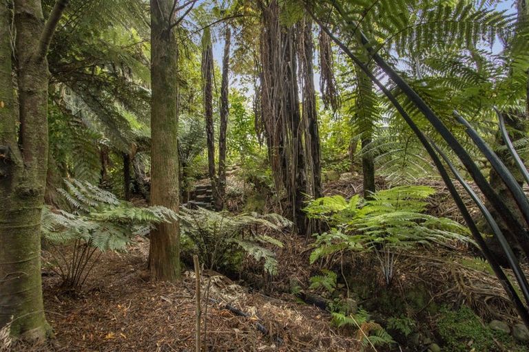 Photo of property in 21 Princes Street, Waikino, Waihi, 3682