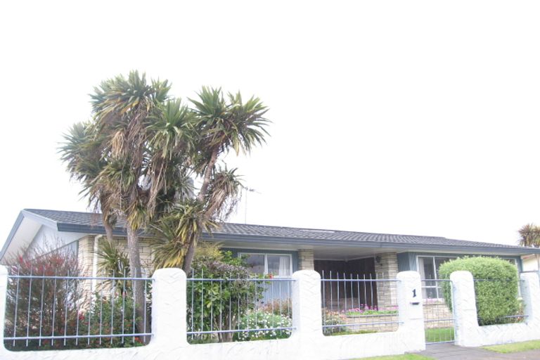 Photo of property in 1 Essex Street, Tamatea, Napier, 4112