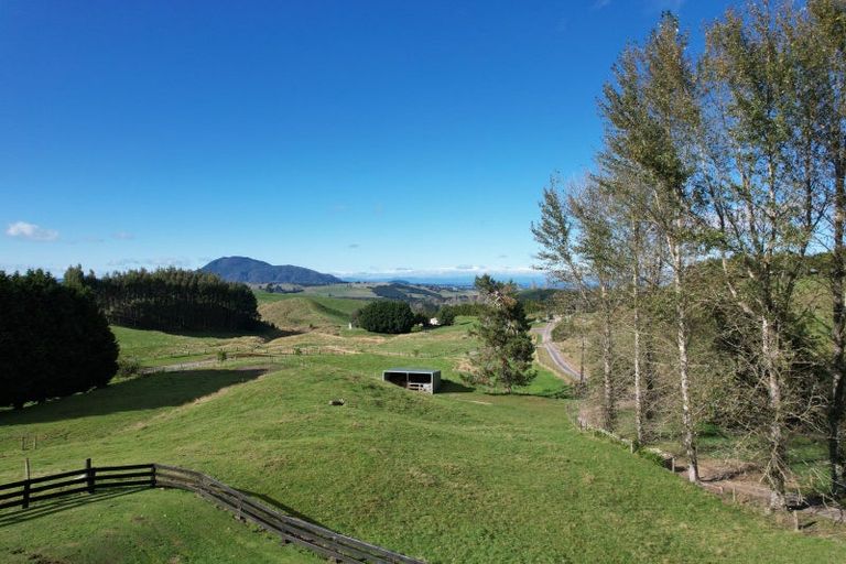 Photo of property in 61 Oak Drive, Wairakei, Taupo, 3384